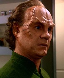 Phlox