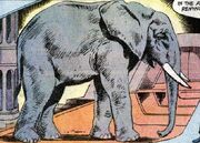 Elephant DC Comics
