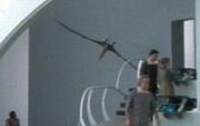 Kyrian pterodactyl