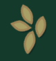 Starveio-wheat-seed