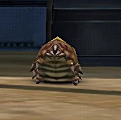 Plasma Slug