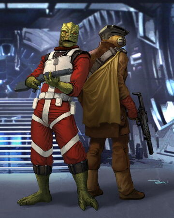 Bounty Hunters Guild Wookieepedia Fandom