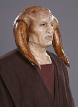 Master Tiin