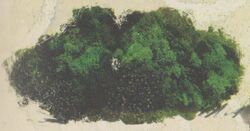 Moss