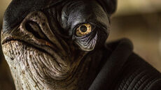 Admiral Raddus Databank