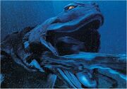 Sandoaquamonster