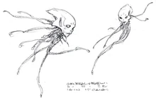 Head of the Confederacy