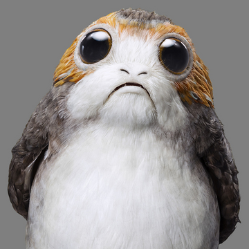 Porg Wookieepedia Fandom