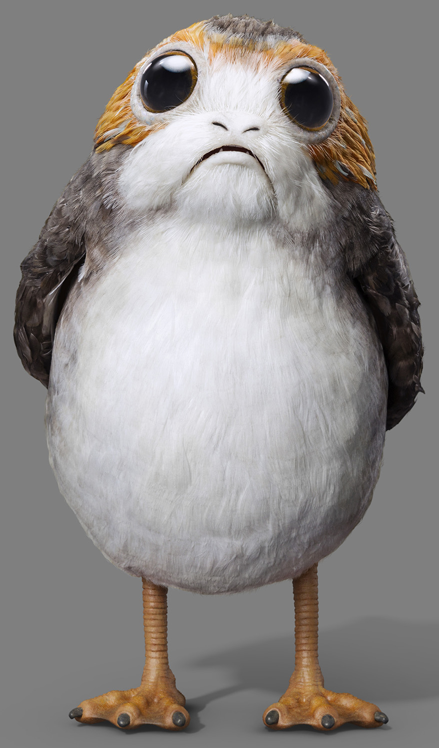 Image result for porg star wars