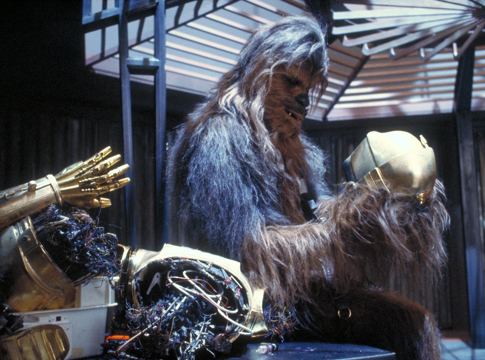 Chewbacca Wookieepedia Fandom