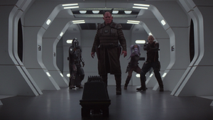 Mayfelds Team The Mandalorian