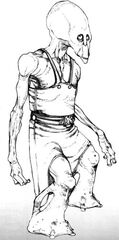 Fian