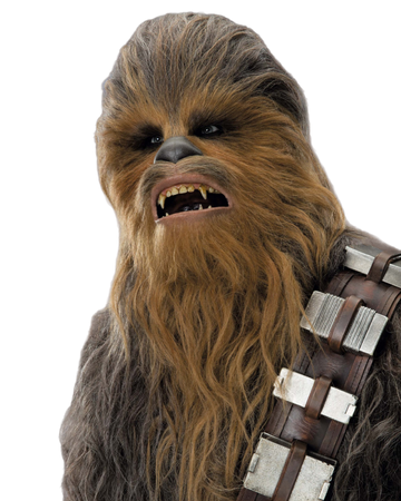 Chewbacca Wookieepedia Fandom