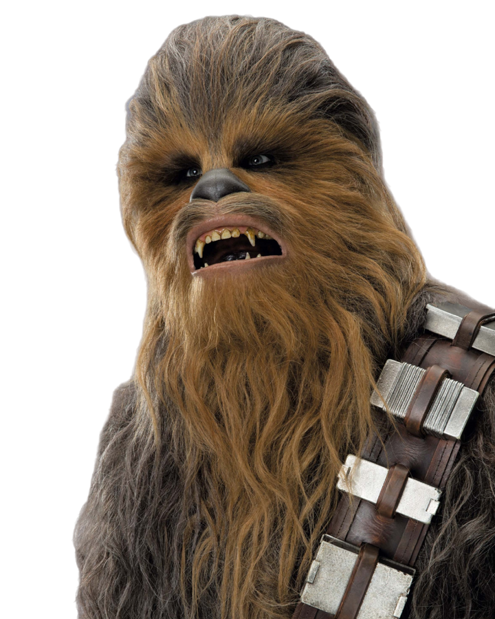 Chewbacca Wookieepedia Fandom
