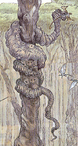 File:Dagobah python 2.png