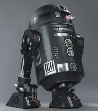 C2-B5
