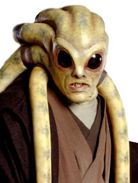 Kit Fisto