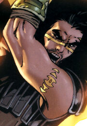 Quinlan Vos