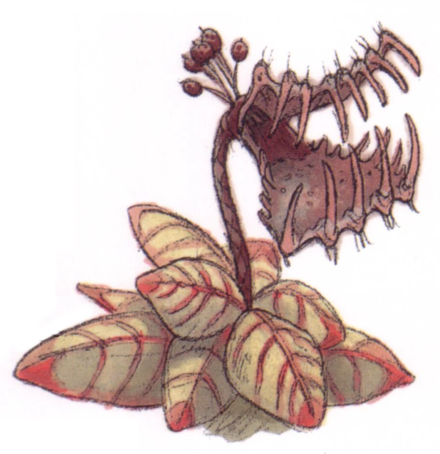 Tooketrap plant Wookieepedia FANDOM powered by Wikia