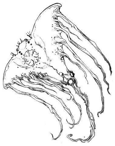 latest?cb=20060311185134