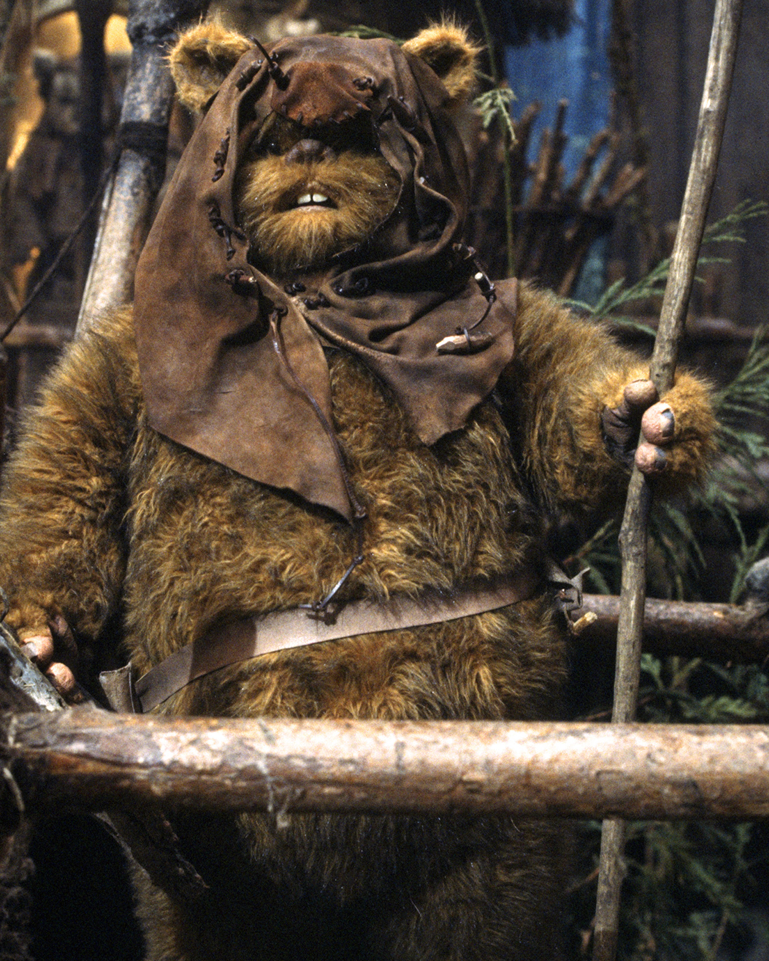 Romba Wookieepedia Fandom