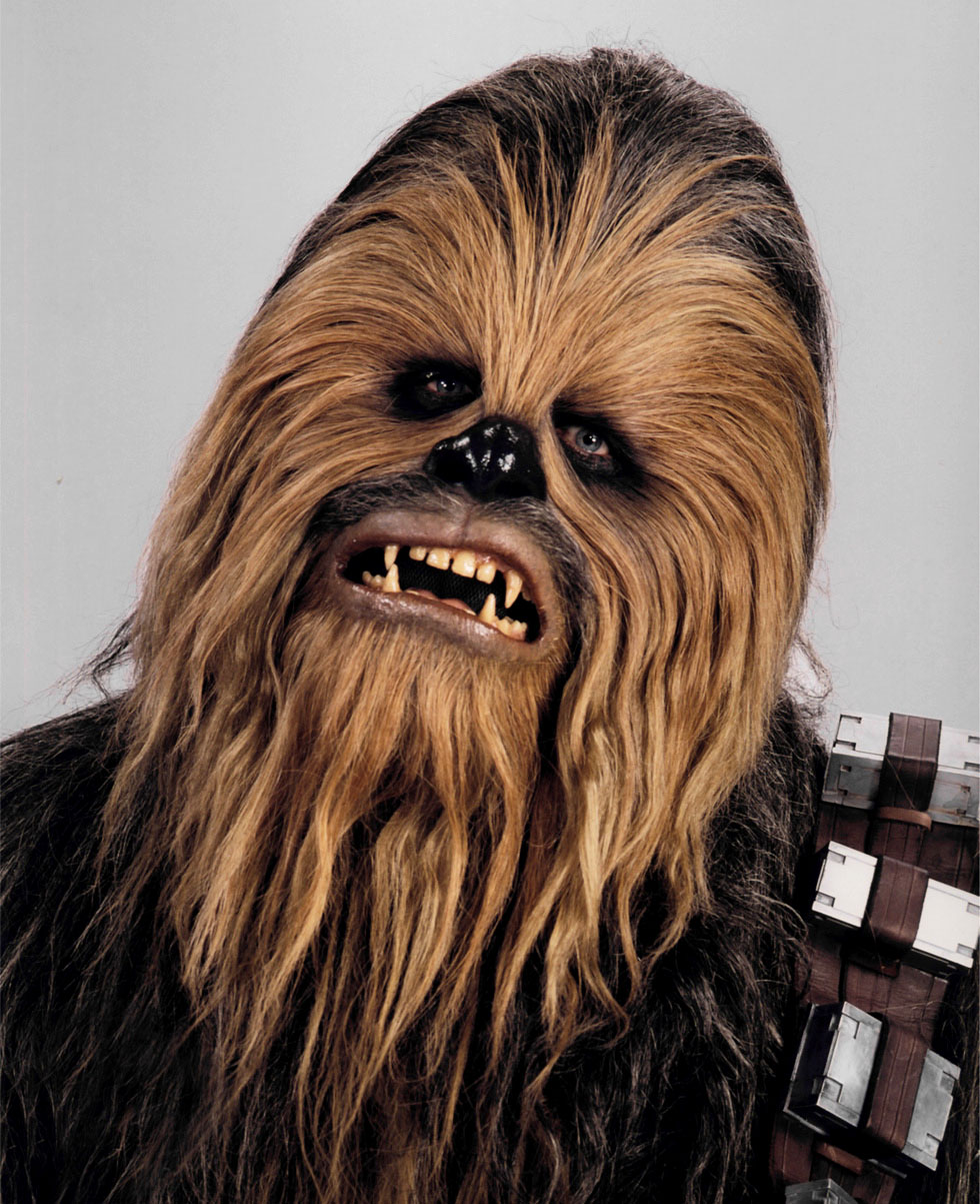 スター・ウォーズに登場する犬の名前 45 選