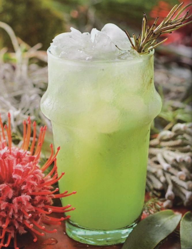 Dagobah Slug Slinger Wookieepedia Fandom