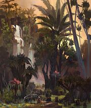 Jungle of Rishi