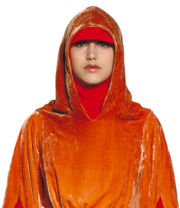 File:Rabe.png