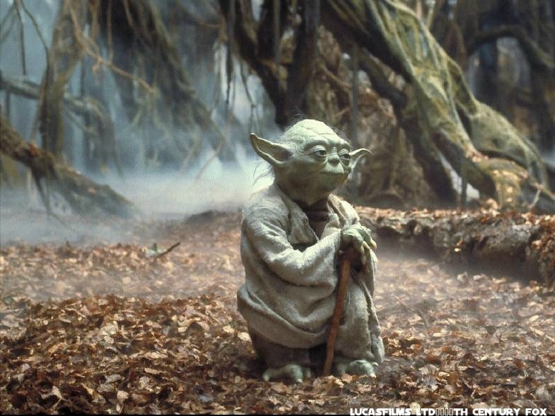 https://vignette.wikia.nocookie.net/starwars/images/a/a0/YodaDagobah.jpg/revision/latest?cb=20070422153008&amp;path-prefix=pl