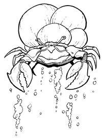 Sink-crab