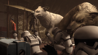 White Loth Wolf Wookieepedia Fandom