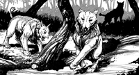 Garral