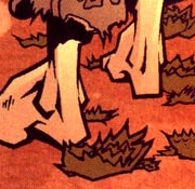 DungWeed