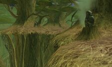 RryattTrailWroshyrCanopy2-SWG