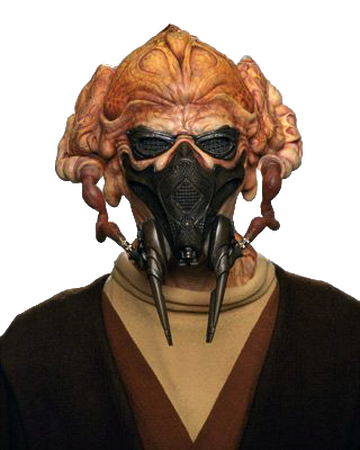 Plo Koon Wookieepedia Fandom