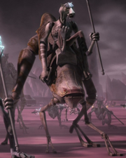 Insectomorph