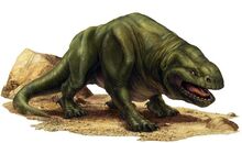 Dewback