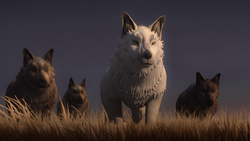 Loth-wolf pack WaaD