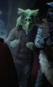 Shasa Tiel