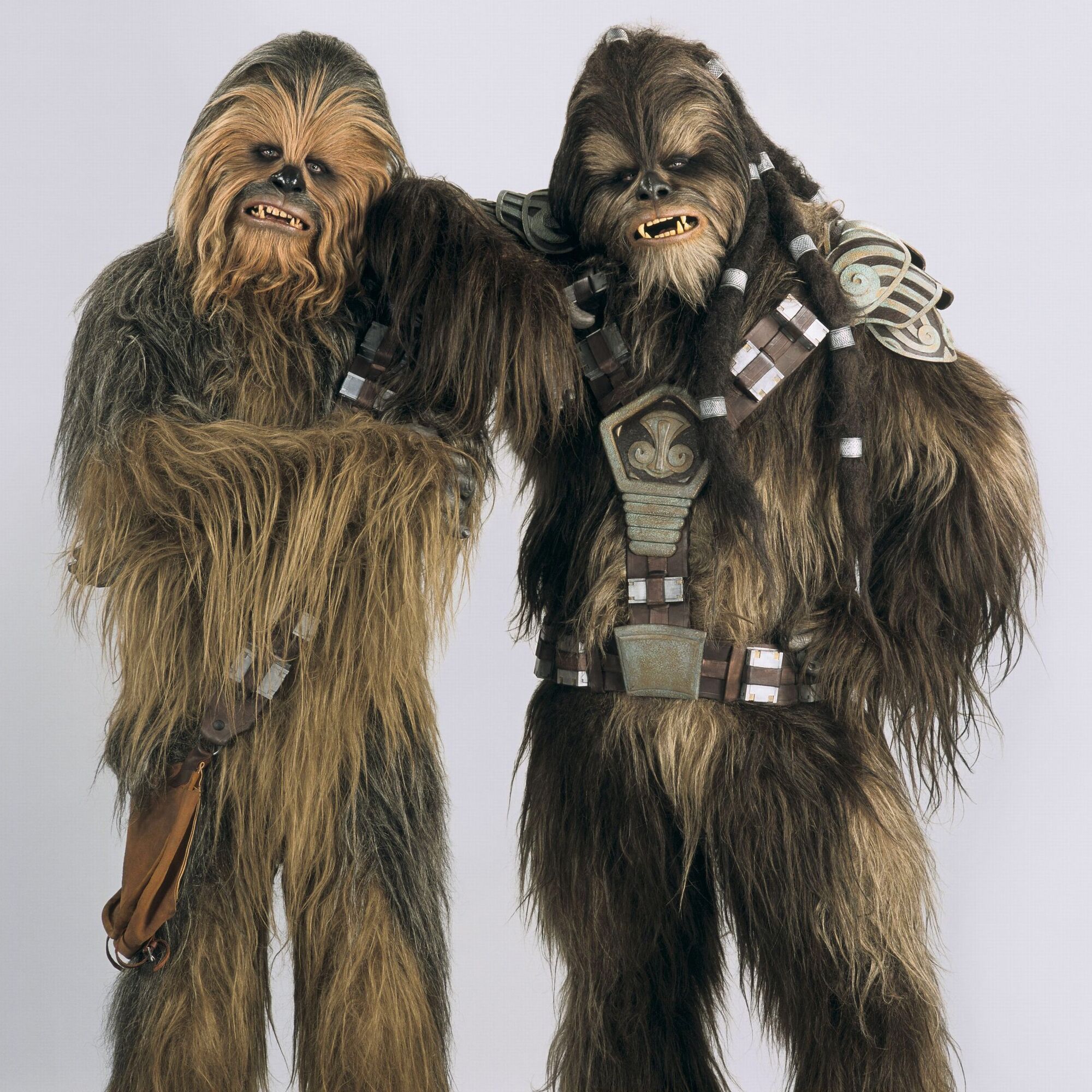 Image Wooky.jpg Wookieepedia FANDOM powered by Wikia