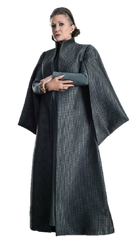 Leia Organa Advanced Graphics