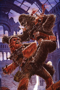 Star Wars 14 cover