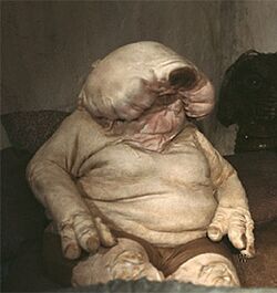 Droopy sitting