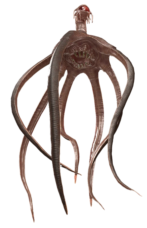 Dianoga Wookieepedia FANDOM powered by Wikia