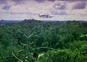 Rwookrrorro forest-SWHS