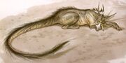 Anooba 1