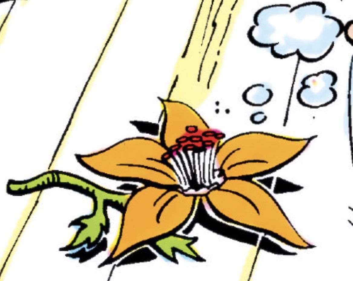 Damsel flower