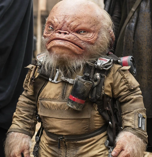 500?cb=20170312034940