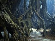 Gnarltree btm